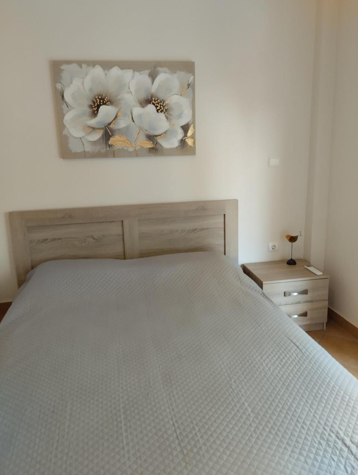 Sonia Apartment *